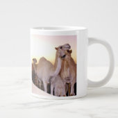Camel Liebe Kaffee Tasse (Rechts)