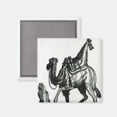 Camel Magnet (Vorderseite/Rückseite)