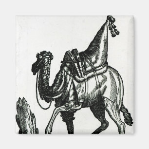 Camel Magnet
