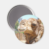 Camel Magnet (Vorderseite/Rückseite)