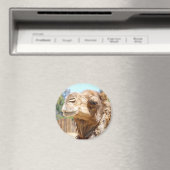 Camel Magnet (In Situ (Geschirrspüler))