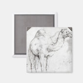 Camel Magnet (Vorderseite/Rückseite)
