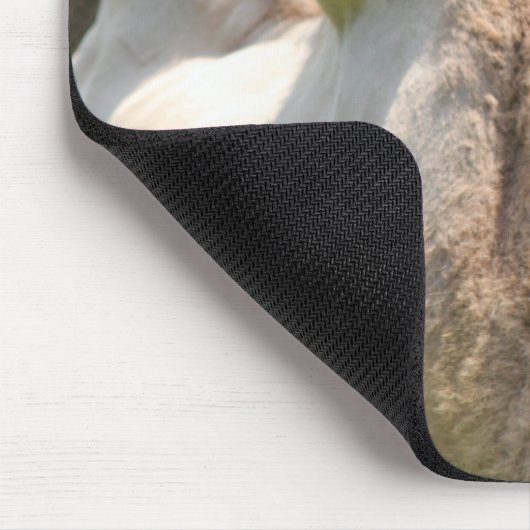 Camel Mousepad (Ecke)