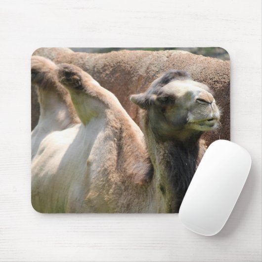 Camel Mousepad (Mit Mouse)