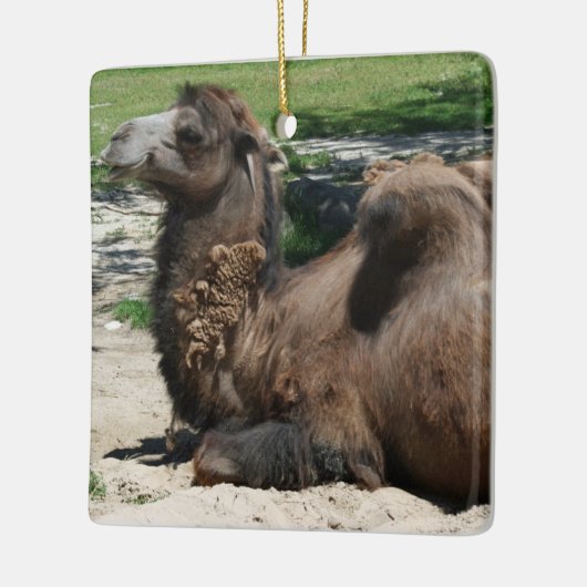 Camel Ornament (Links)