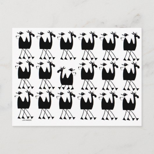 Camel Parade Postkarte (Vorderseite)