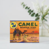 Camel Pears Postkarte (Stehend Vorderseite)