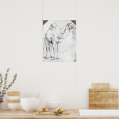 Camel Poster (Küche)