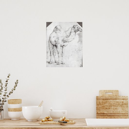 Camel Poster (Küche)
