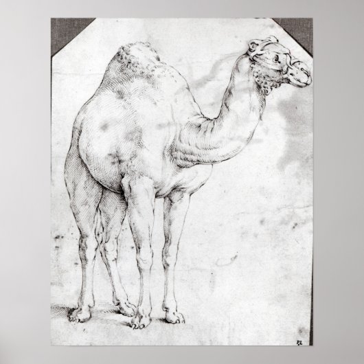 Camel Poster (Vorne)