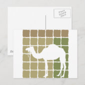 Camel Postkarte (Vorne/Hinten)