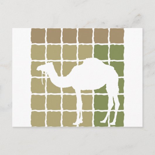Camel Postkarte (Vorderseite)