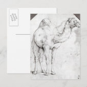 Camel Postkarte (Vorne/Hinten)