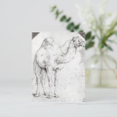 Camel Postkarte (Stehend Vorderseite)