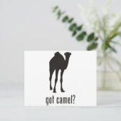 Camel Postkarte (Stehend Vorderseite)