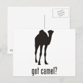 Camel Postkarte (Vorne/Hinten)