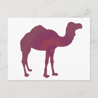 Camel Prestige Postkarte