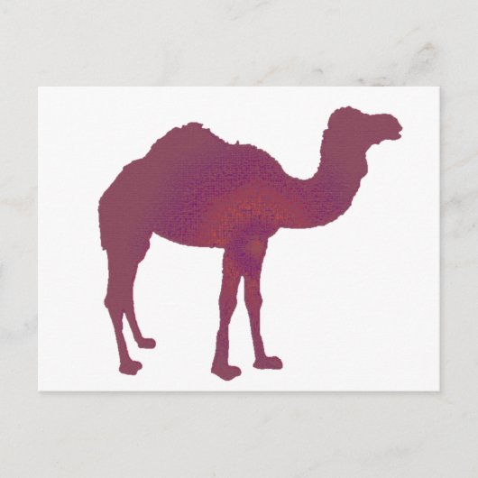 Camel Prestige Postkarte (Vorderseite)