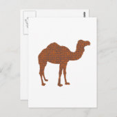 Camel Prodigy Postkarte (Vorne/Hinten)