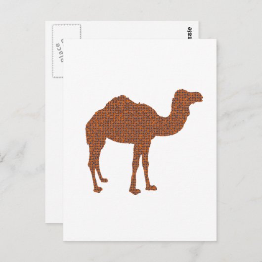 Camel Prodigy Postkarte (Vorne/Hinten)