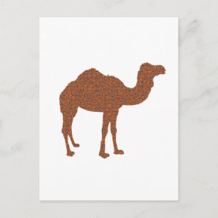 Camel Prodigy Postkarte
