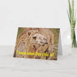 Camel Punny Humppy Birthday Card Karte
