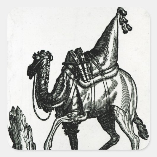 Camel Quadratischer Aufkleber (Vorderseite)