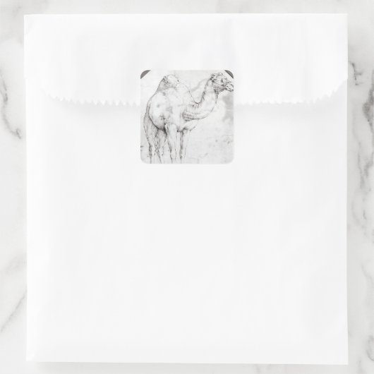 Camel Quadratischer Aufkleber (Tasche)