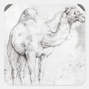 Camel Quadratischer Aufkleber