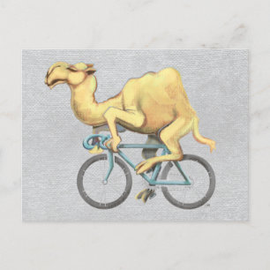 Camel Reiten mit dem Fahrrad Postkarte