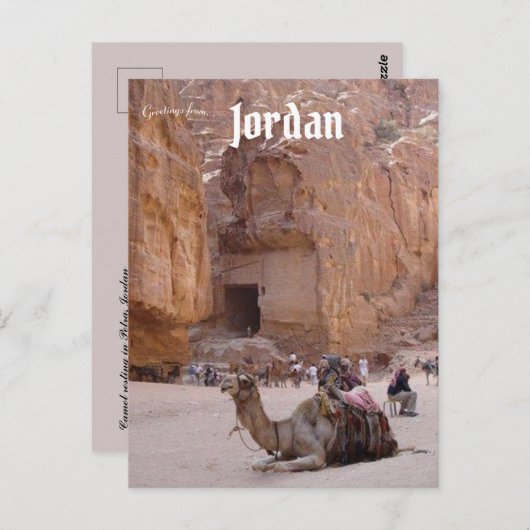 Camel Resting in Petra Jordan Postkarte (Vorne/Hinten)