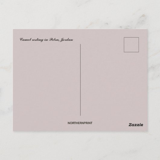 Camel Resting in Petra Jordan Postkarte (Rückseite)