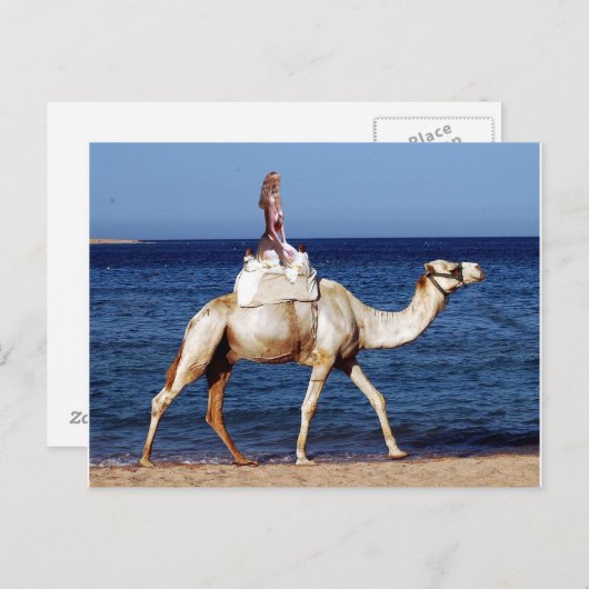Camel Rider am Meer Postkarte (Vorne/Hinten)