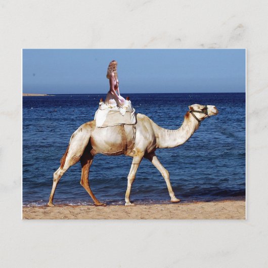 Camel Riding am Strand Postkarte (Vorderseite)
