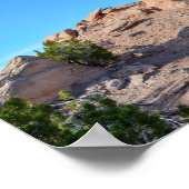 Camel Rock, New Mexico, 2014 Poster (Ecke)