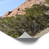 Camel Rock, New Mexico Poster (Ecke)