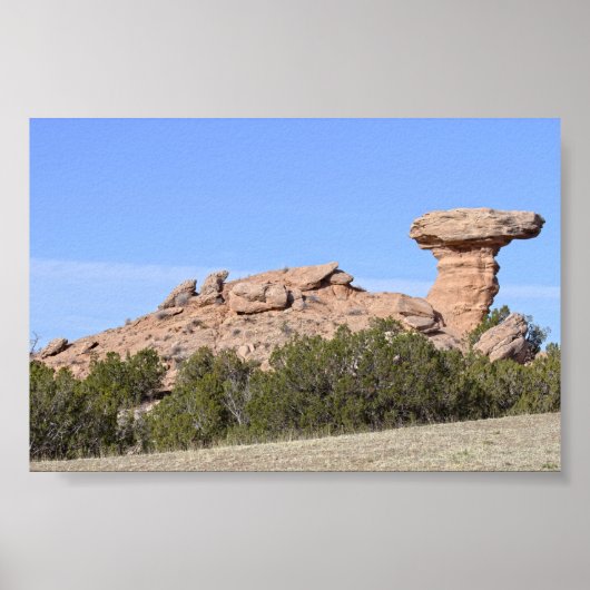 Camel Rock, New Mexico Poster (Vorne)