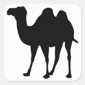 Camel Silhouette Quadratischer Aufkleber (Vorderseite)