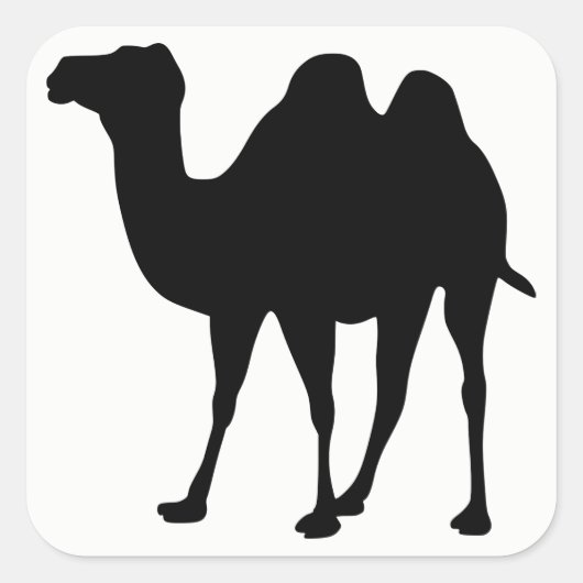 Camel Silhouette Quadratischer Aufkleber (Vorderseite)