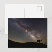 Camel-Silhouette und Milchstraße Postkarte (Vorne/Hinten)