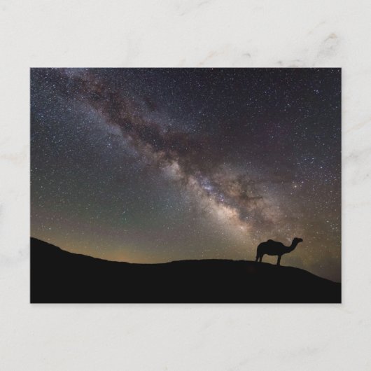Camel-Silhouette und Milchstraße Postkarte (Vorderseite)