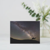 Camel-Silhouette und Milchstraße Postkarte (Stehend Vorderseite)