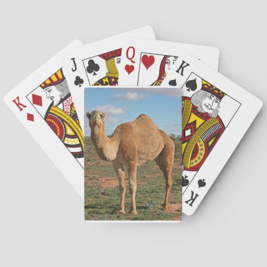Camel Spielkarten (Rückseite)