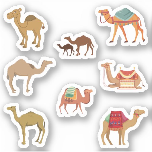 Camel Stickers Aufkleber (Vorderseite)