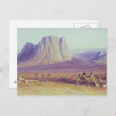 Camel Train, Condessi, Mount Sinai, 1848 Postkarte (Vorne/Hinten)