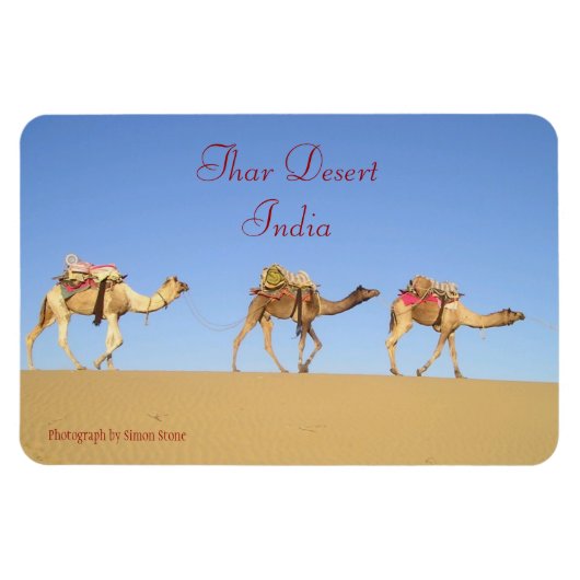 Camel Train, Thar Desert Magnet (Horizontal)