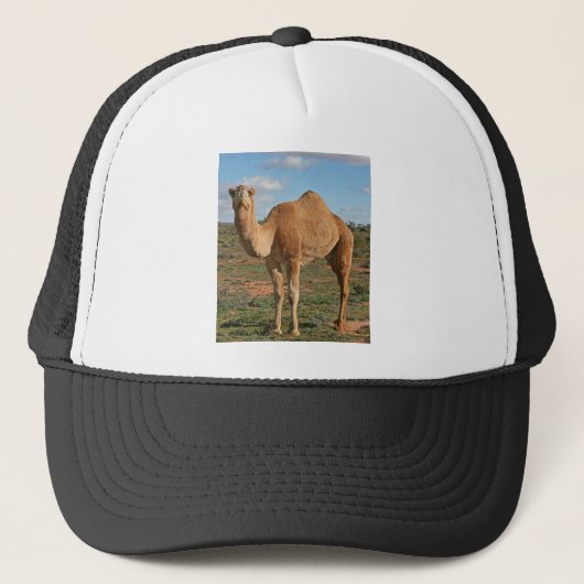 Camel Truckerkappe (Vorderseite)