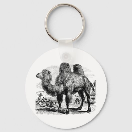 Camel Vintagen 1800er Jahre - Vorlage für ägyptisc Schlüsselanhänger (Vorderseite)