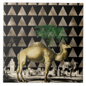 Camel von D'Orbigny Fliese (Vorderseite)