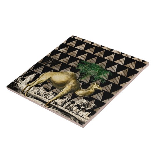 Camel von D'Orbigny Fliese (Seite)